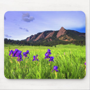 Flatiron Beauty Mouse Pad