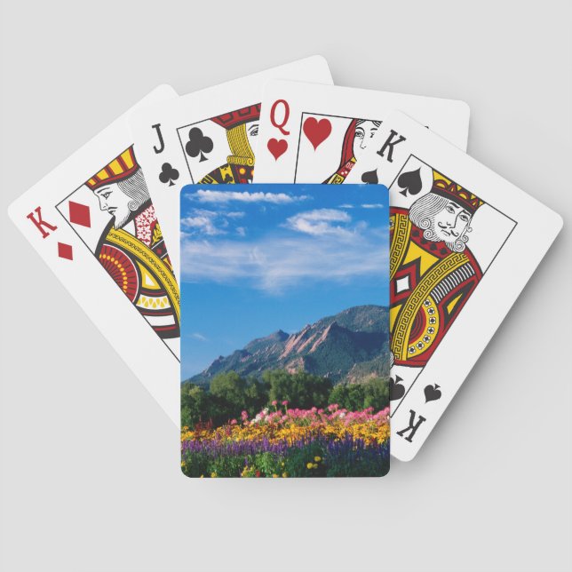 Flatirons and Flowers, Boulder Colorado Playing Cards (Back)