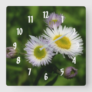 Fleabane Tiny Daisies Flower Square Wall Clock