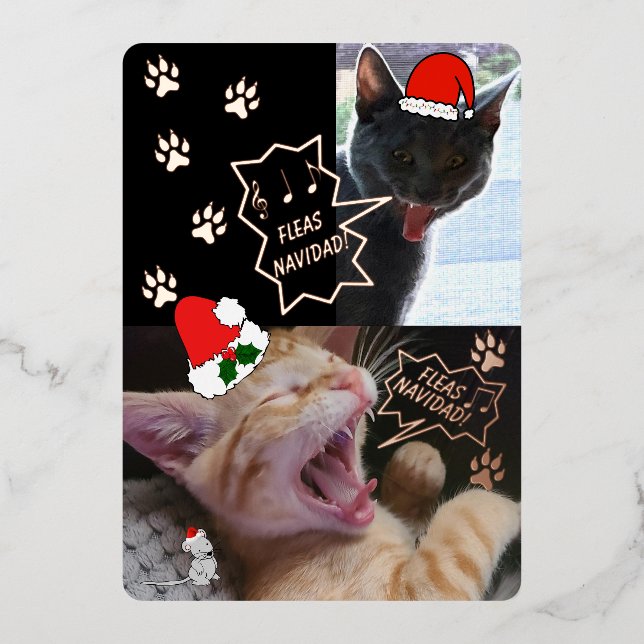 Fleas Navidad Chanter Chats Carte de voeux de Noël (Recto)