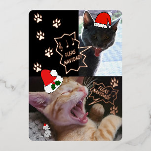 Fleas Navidad Singing Cats Christmas Greeting Card