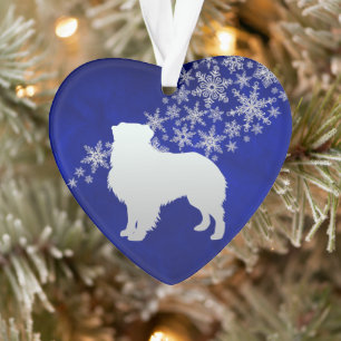 Fléau de neige bleu Silver Australian Shepherd