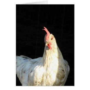 Flèche bleue Hen