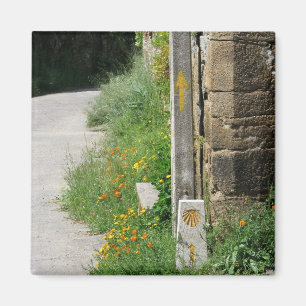 Flèches et aimant de Shell