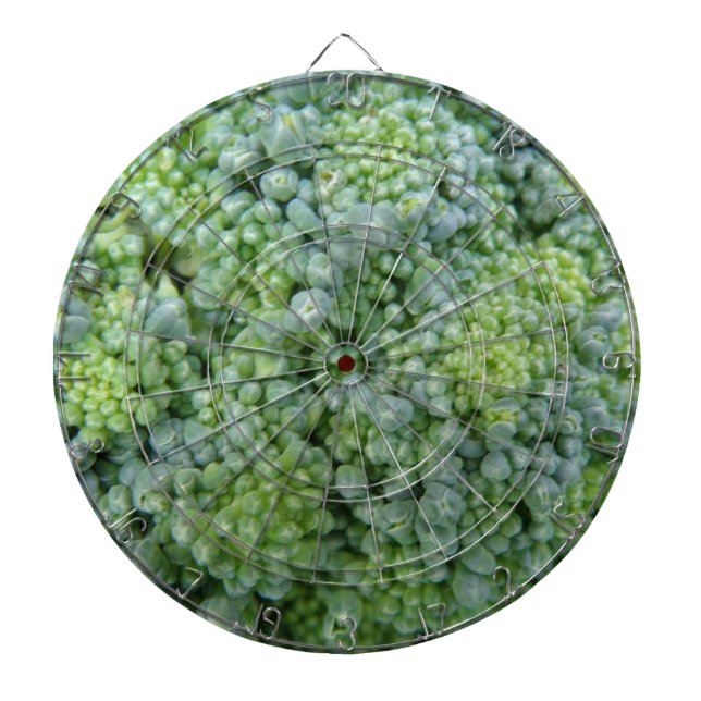 Fléchettes Cible de flechettes Macro Broccoli (Devant)