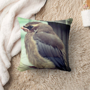 Fledgling Baby Cedar Waxwing Bird Throw Pillow
