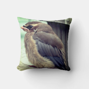 Fledgling Baby Cedar Waxwing Bird   Throw Pillow