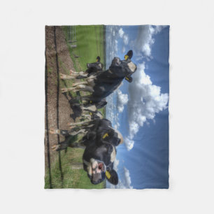 fleece blacket Cows Blanket