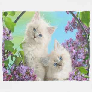 Fleece Blanket/Kittens Blanket