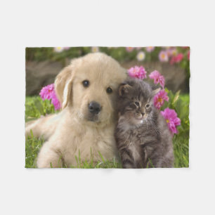 Fleece Blanket/Puppy and Kitten Blanket