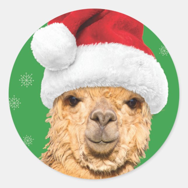Fleece Navidad Christmas Llama with Santa Hat Classic Round Sticker (Front)