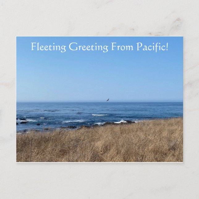 FleetingGreeting From Pacific! Postcard (Front)