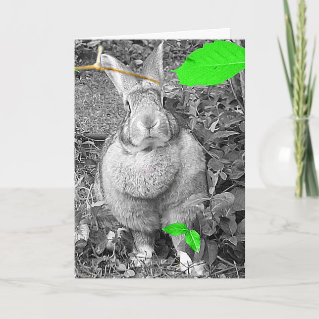 Flemish Giant Rabbit B & W with Green Leaves Holiday Card (Front)