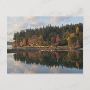 Fletcher Bay Postcard