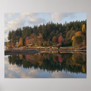 Fletcher Bay Poster