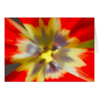 fleur