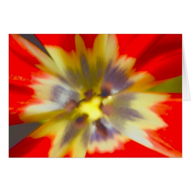 fleur (Devant horizontal)