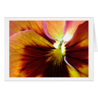 Fleur4
