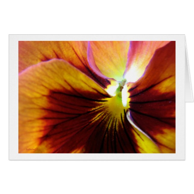 Fleur4 (Devant horizontal)