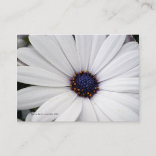 Fleur blanche avec le carte de visite central bleu