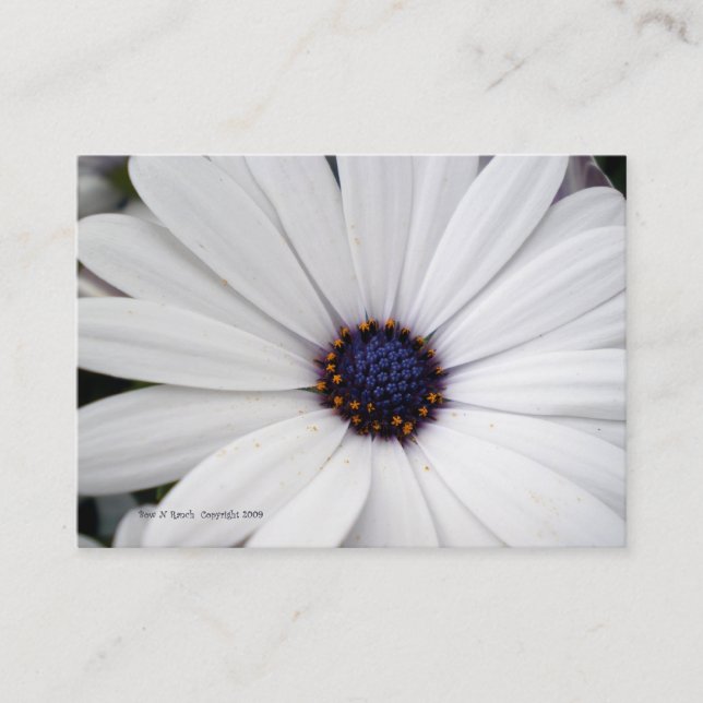 Fleur blanche avec le carte de visite central bleu (Devant)