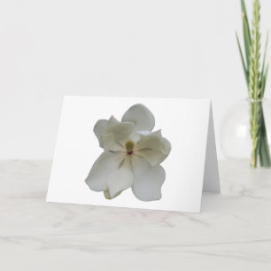 Fleur blanche de magnolia sur la carte vierge de