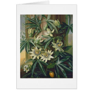 Fleur bleue de passion pour le "temple de Flora"