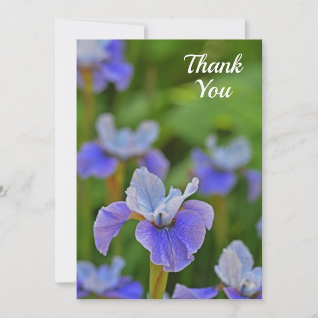 Fleur bleue Iris élégant Carte de remerciements pl (Devant)