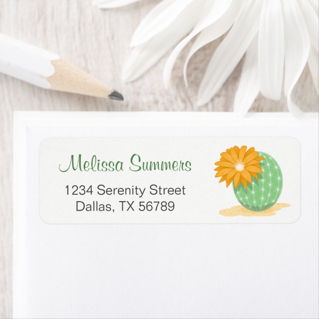 Fleur Cactus (En situation)