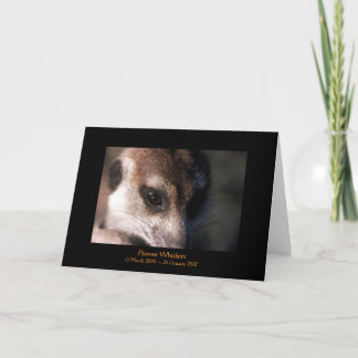 Fleur - carte de légendes