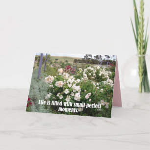 Fleur Carte Jardin De Moments Parfaits