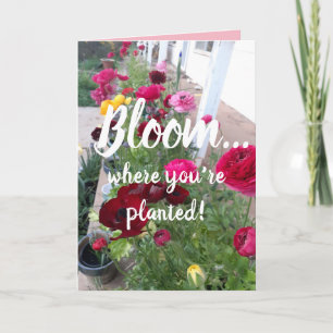 Fleur colorée où vous êtes planté Carte Fleur