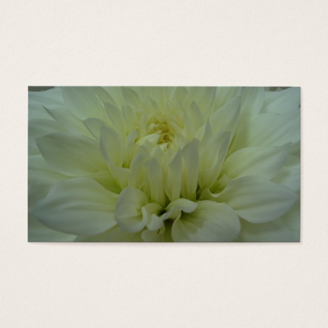 Fleur Dahlia Jaune (Devant)