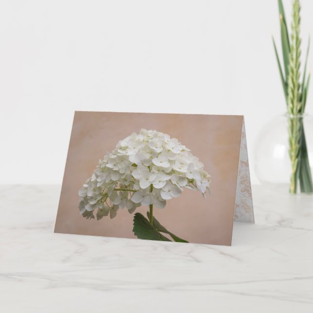 Fleur d'amitié - Philippiens 1:3 Carte Note (Devant)