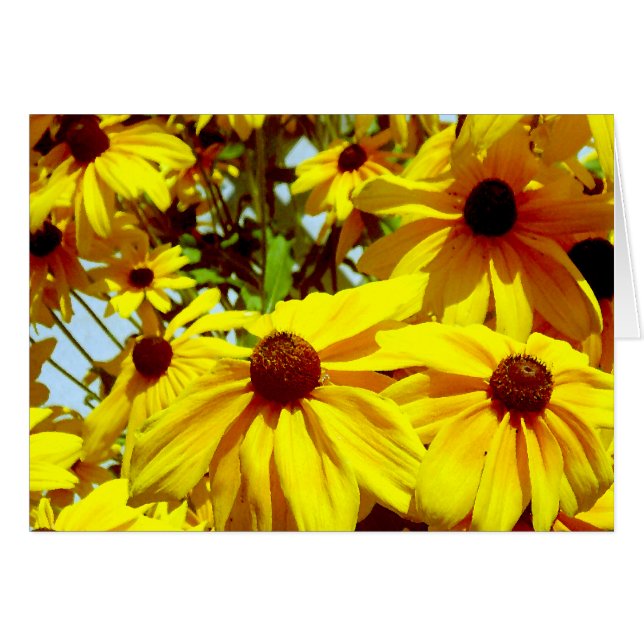 Fleur d'amour_ (Devant horizontal)