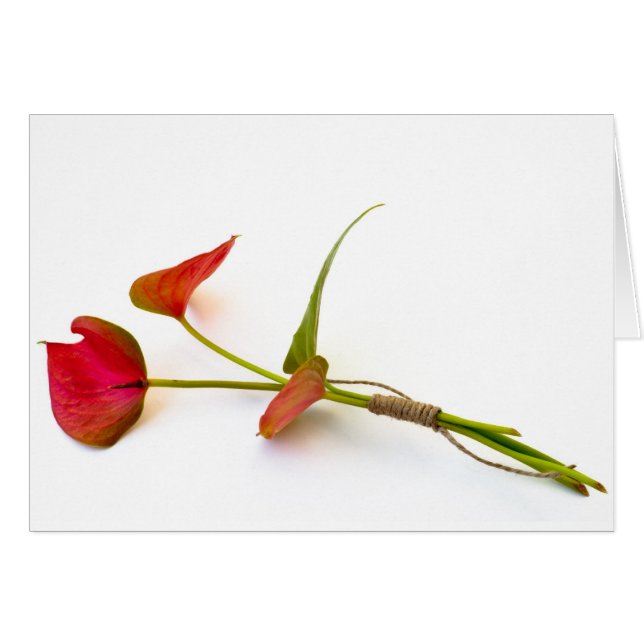 Fleur d'anthurium (Devant horizontal)