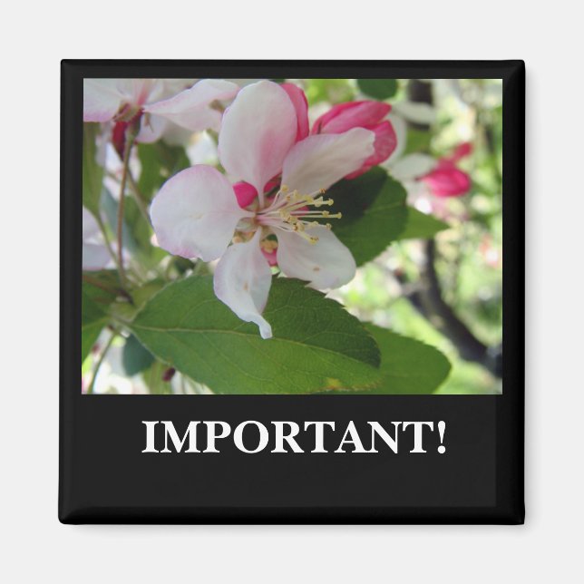 Fleur d'Apple | Magnet (Devant)