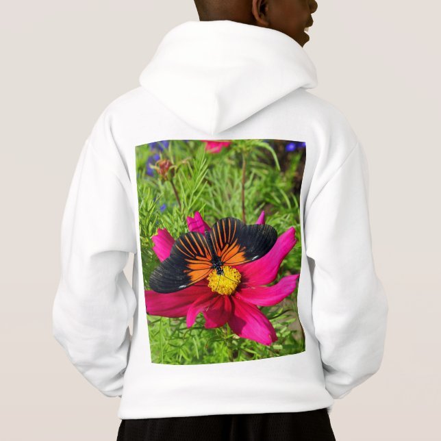 fleur d'aster mexicain avec une Longwing de Doris (Dos)