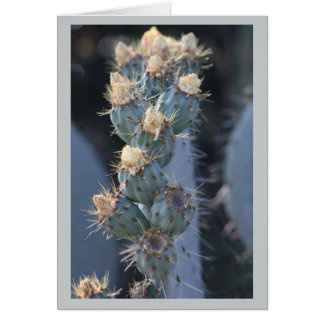 fleur de cactus