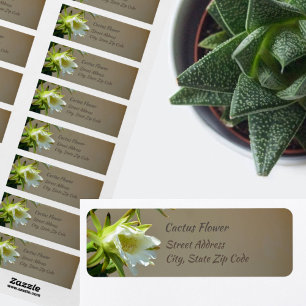 Fleur de cactus blanc Botanique Taupe Adresse de r