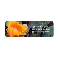 Fleur de cactus de pricks orange Arizona USA