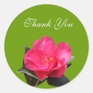 fleur de camélia rose merci stickers