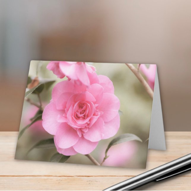 Fleur de Camellia rose doux (Créateur téléchargé)