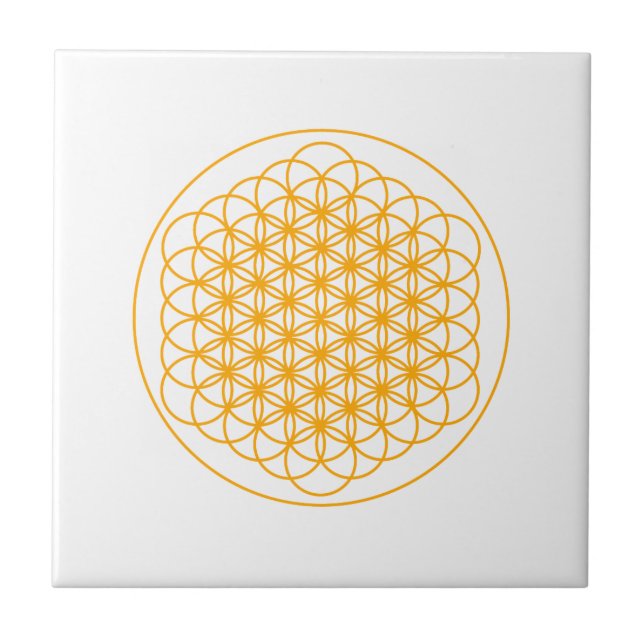 FLEUR DE CARREAU DE CÉRAMIQUE DE LA VIE PAR LE DMT (Devant)