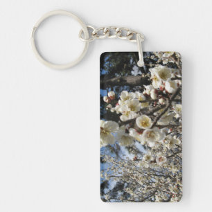 Fleur de cerisier blanc / Sakura / ク(桜)