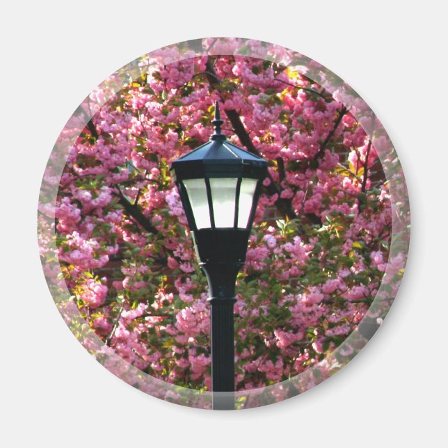 Fleur de cerisier et aimant de lampes Favoriser (Devant)