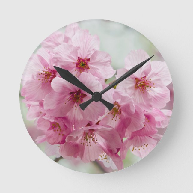 Fleur de cerisier japonaise, horloge murale (Recto)
