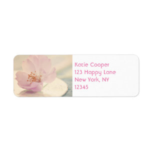 Fleur de cerisier rose pâle délicate