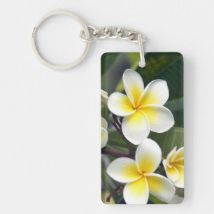 Fleur de frangipanier Îles Cook