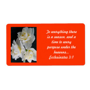 Fleur de Jonquil - 3:1 d'Ecclesiastes